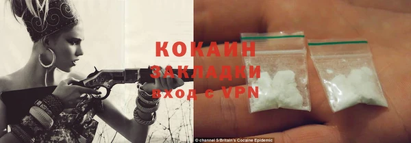 дживик Майский