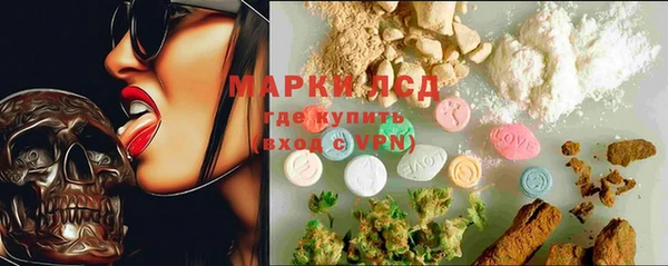 дживик Майский